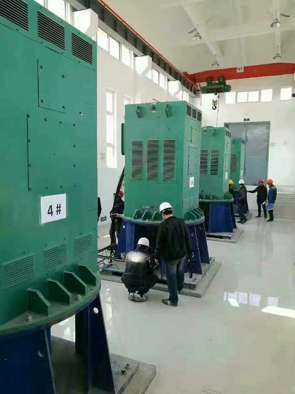YR4003-4/250KW某污水处理厂使用我厂的立式高压电机安装现场