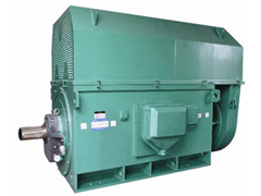 YR4003-4/250KWY系列6KV高压电机